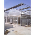 span glass greenhouse